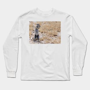 Squirrel. Long Sleeve T-Shirt